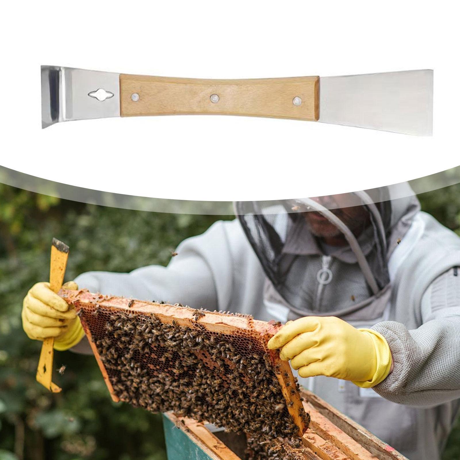Raschietto per Arnia in Acciai - Workshop Tools Knife recensione e prezzo
